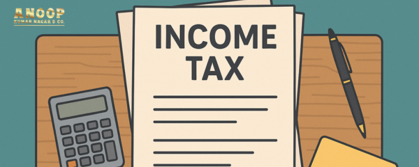 Income Tax Made Basic: Everything You Want to Know in 2025